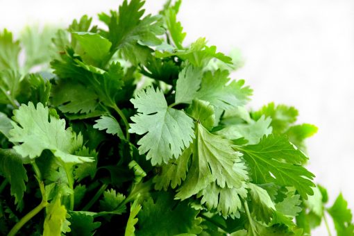Shampooseife Grüner Tee mit Tigergras und Korianderöl – Bild 3